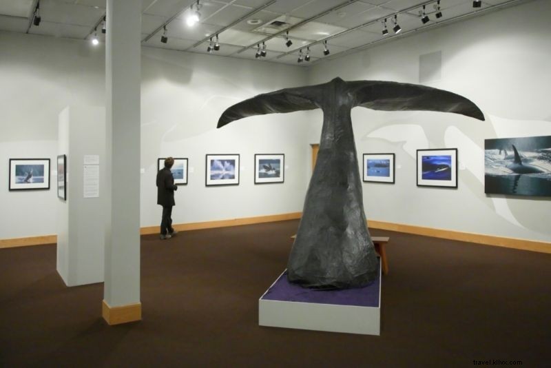 42 Must-Do Activities in Juneau, Alaska: Ultimate Adventure Guide