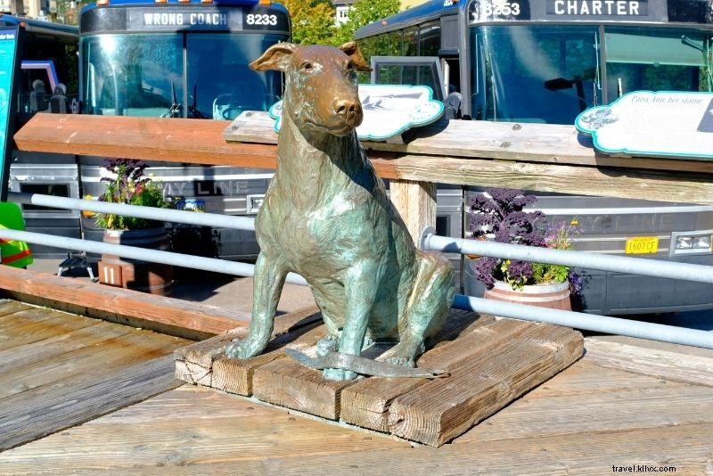 42 Must-Do Activities in Juneau, Alaska: Ultimate Adventure Guide