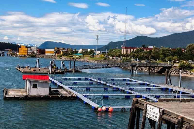 42 Must-Do Activities in Juneau, Alaska: Ultimate Adventure Guide