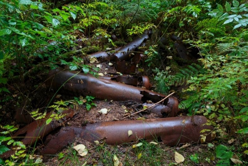 42 Must-Do Activities in Juneau, Alaska: Ultimate Adventure Guide