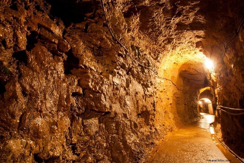 42 Must-Do Activities in Juneau, Alaska: Ultimate Adventure Guide