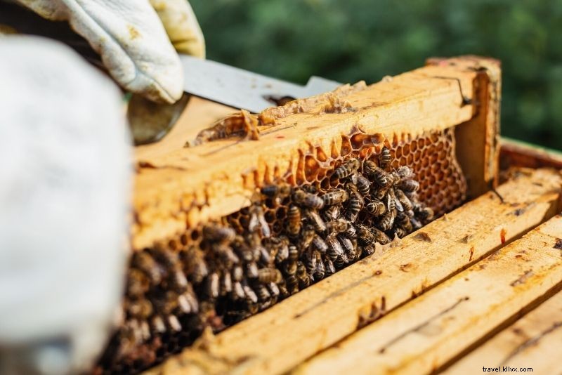 Discover 65 Fun & Unusual Things to Do in Manchester, UK