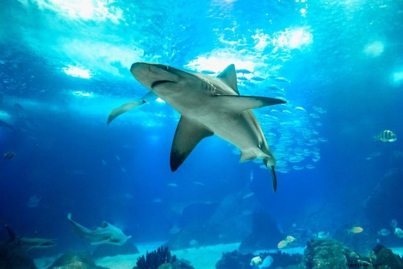 Discover 65 Fun & Unusual Things to Do in Manchester, UK