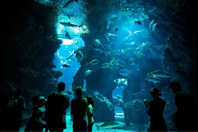 61 Must-Do Things to Do in Monaco: Ultimate Luxury Guide