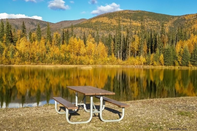 Discover 40 Exciting Things to Do in Fairbanks, Alaska: Midnight Sun & Northern Lights