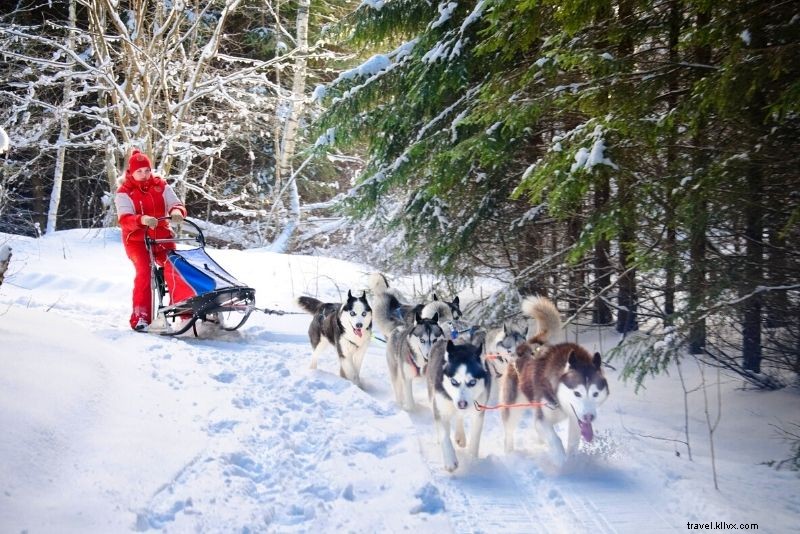 Discover 40 Exciting Things to Do in Fairbanks, Alaska: Midnight Sun & Northern Lights