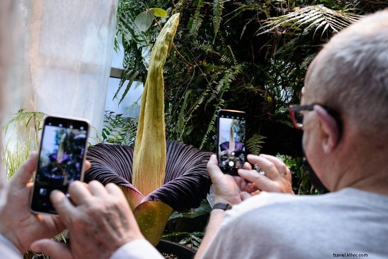 Discover 66 Fun & Unusual Things to Do in Warsaw, Poland