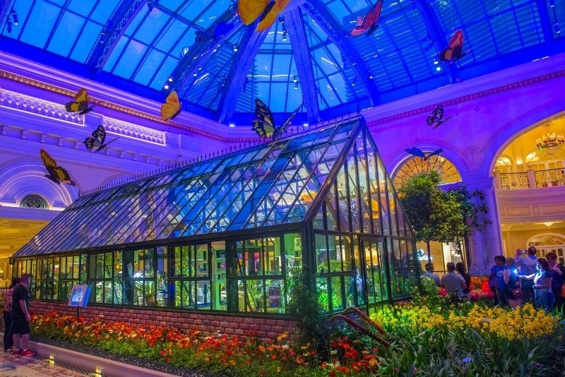 55 Unforgettable Romantic Things to Do in Las Vegas for Couples