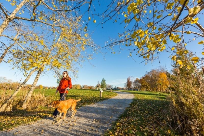 Discover 58 Exciting Things to Do in Portland, Maine – Ultimate Guide