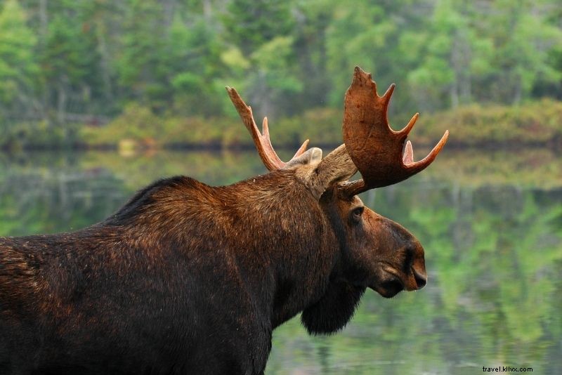 Discover 58 Exciting Things to Do in Portland, Maine – Ultimate Guide