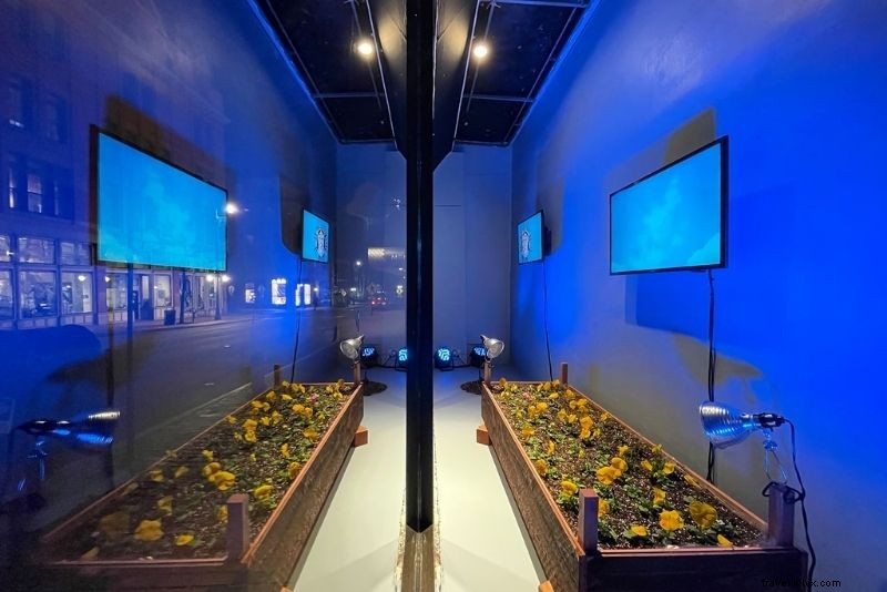 Discover 58 Exciting Things to Do in Portland, Maine – Ultimate Guide