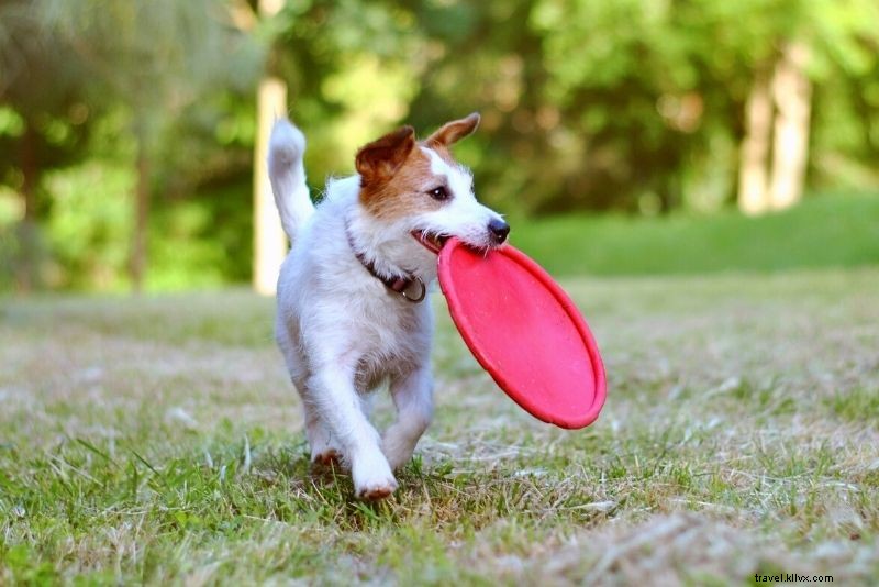 Discover 56 Fun & Unique Things to Do in Palm Springs, California