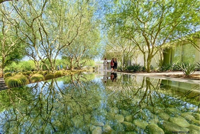 Discover 56 Fun & Unique Things to Do in Palm Springs, California