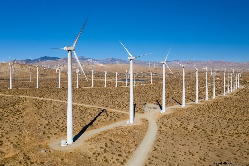 Discover 56 Fun & Unique Things to Do in Palm Springs, California