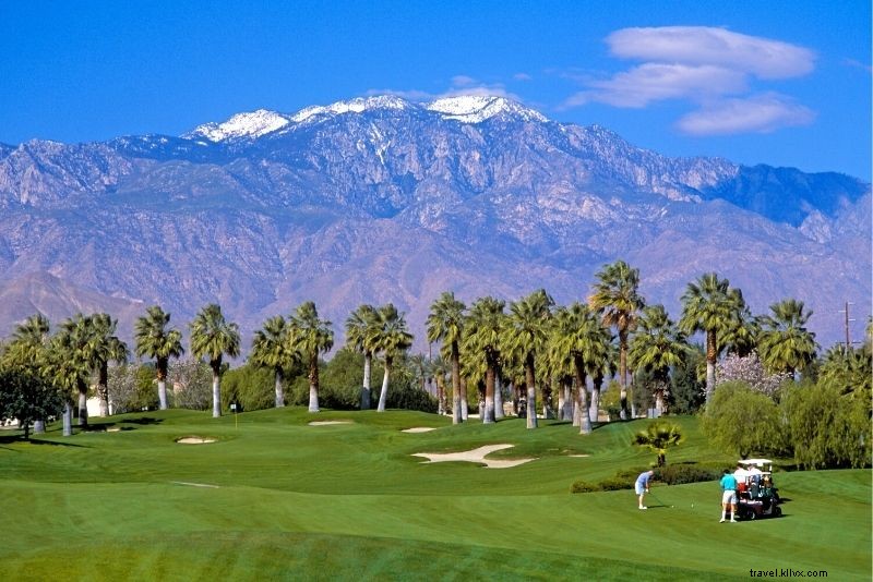 Discover 56 Fun & Unique Things to Do in Palm Springs, California