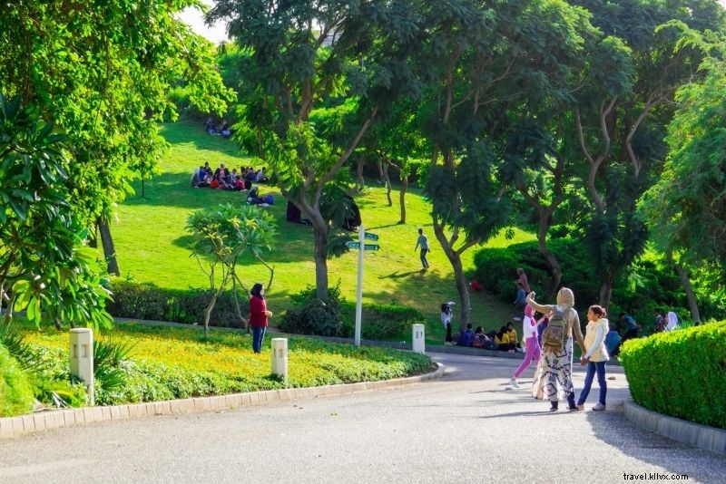 Discover 54 Best Things to Do in Cairo, Egypt: Ultimate Travel Guide