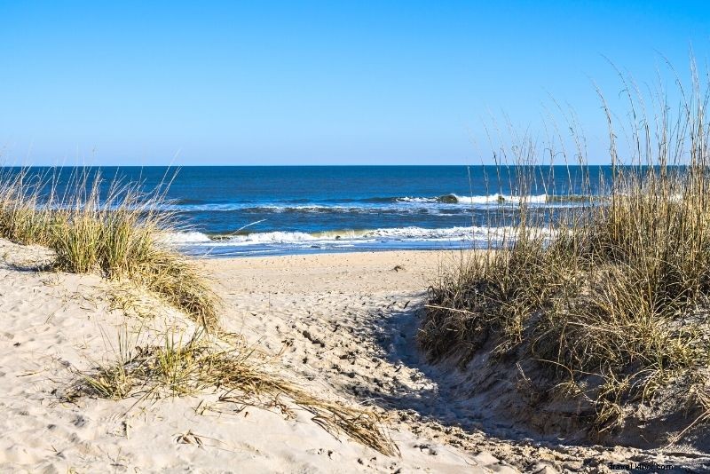 Discover 64 Fun & Unique Things to Do in Virginia Beach, VA