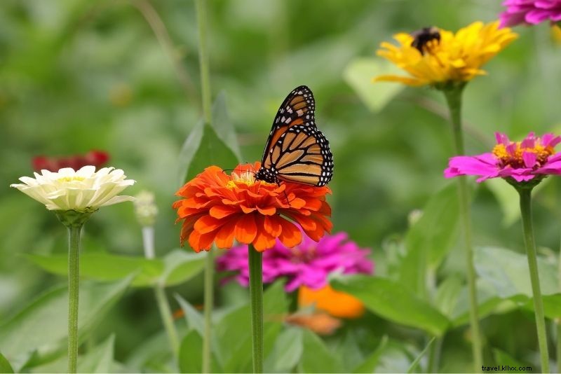 Discover 64 Fun & Unique Things to Do in Virginia Beach, VA