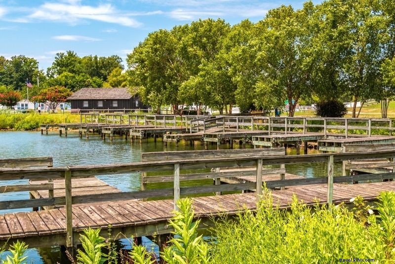 Discover 64 Fun & Unique Things to Do in Virginia Beach, VA