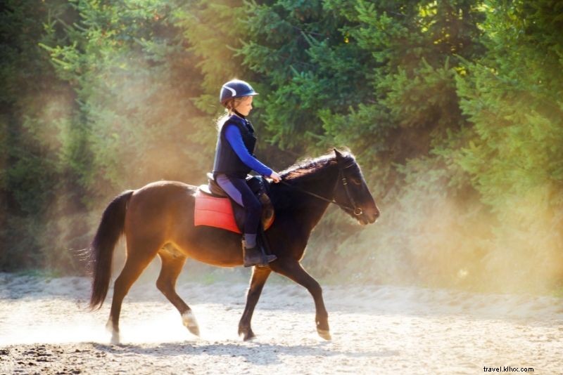 Discover 64 Fun & Unique Things to Do in Virginia Beach, VA