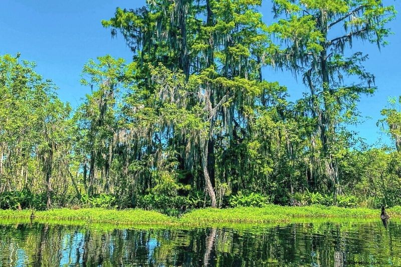 Discover 64 Fun & Unique Things to Do in Virginia Beach, VA