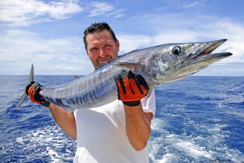 Discover 64 Fun & Unique Things to Do in Virginia Beach, VA