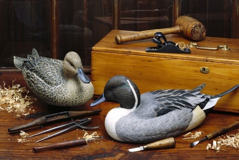 Discover 64 Fun & Unique Things to Do in Virginia Beach, VA