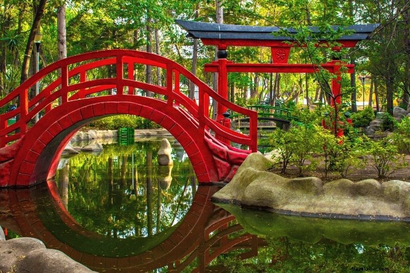 72 Fun and Unusual Things to Do in Mexico City: Ultimate Insider Guide