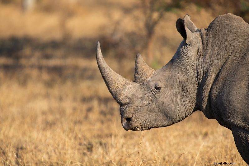 72 Fun and Unusual Things to Do in Mexico City: Ultimate Insider Guide