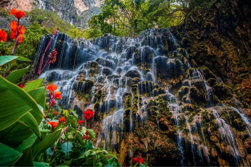 72 Fun and Unusual Things to Do in Mexico City: Ultimate Insider Guide