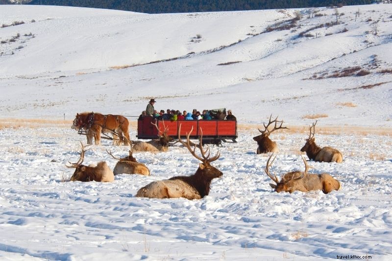 51 Must-Do Activities in Jackson Hole, Wyoming: Ultimate Adventure Guide