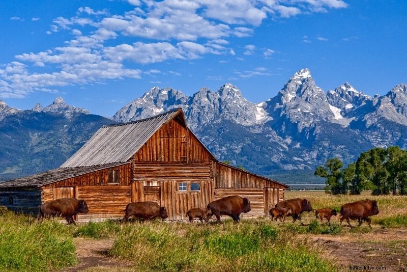 51 Must-Do Activities in Jackson Hole, Wyoming: Ultimate Adventure Guide