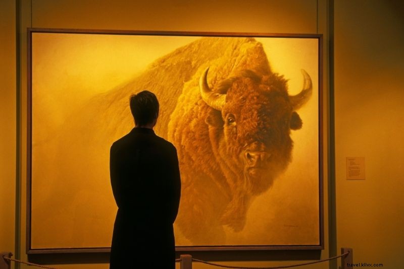 51 Must-Do Activities in Jackson Hole, Wyoming: Ultimate Adventure Guide