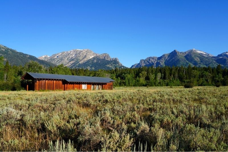 51 Must-Do Activities in Jackson Hole, Wyoming: Ultimate Adventure Guide