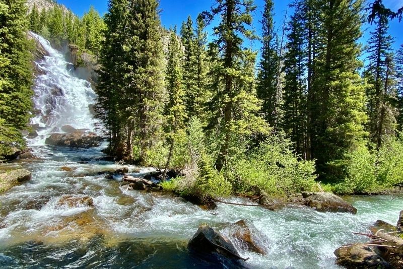 51 Must-Do Activities in Jackson Hole, Wyoming: Ultimate Adventure Guide