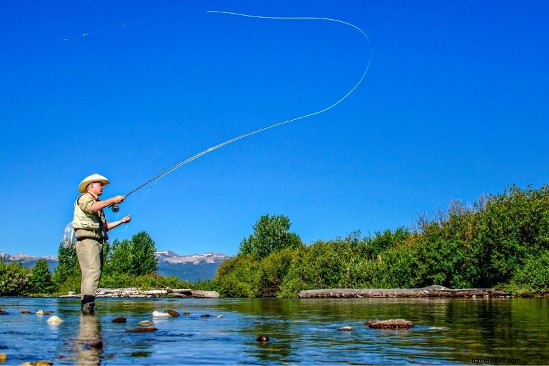 51 Must-Do Activities in Jackson Hole, Wyoming: Ultimate Adventure Guide