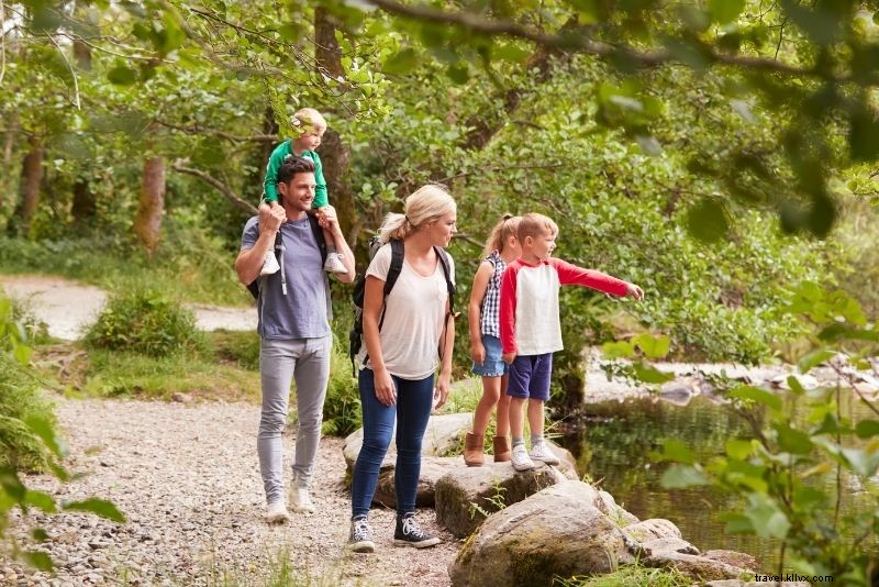 51 Must-Do Activities in Jackson Hole, Wyoming: Ultimate Adventure Guide