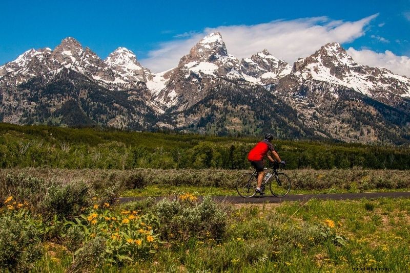 51 Must-Do Activities in Jackson Hole, Wyoming: Ultimate Adventure Guide