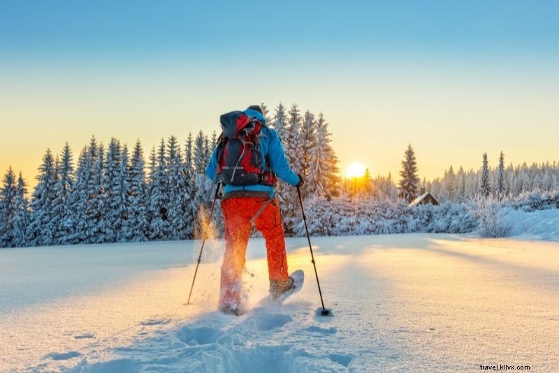 51 Must-Do Activities in Jackson Hole, Wyoming: Ultimate Adventure Guide