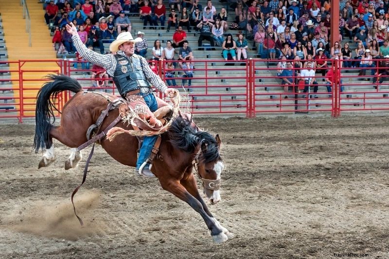 51 Must-Do Activities in Jackson Hole, Wyoming: Ultimate Adventure Guide