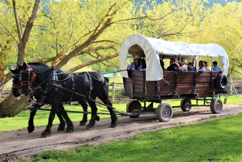 51 Must-Do Activities in Jackson Hole, Wyoming: Ultimate Adventure Guide