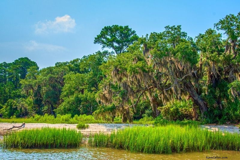 Discover 53 Fun & Unique Things to Do in Hilton Head Island, South Carolina