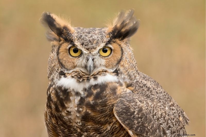 Discover 53 Fun & Unique Things to Do in Hilton Head Island, South Carolina