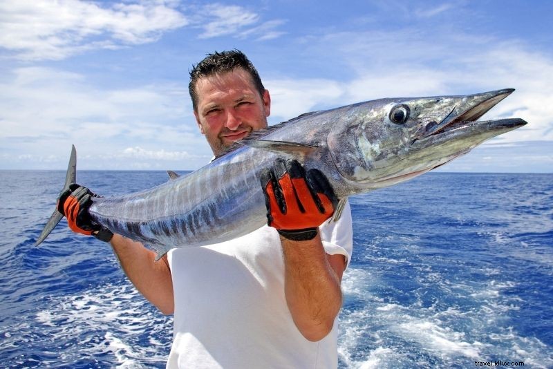 Discover 53 Fun & Unique Things to Do in Hilton Head Island, South Carolina