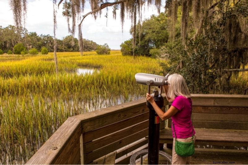 Discover 53 Fun & Unique Things to Do in Hilton Head Island, South Carolina