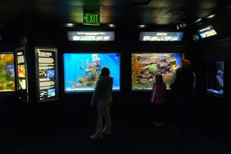 Discover 60 Fun & Exciting Things to Do in Baltimore, Maryland