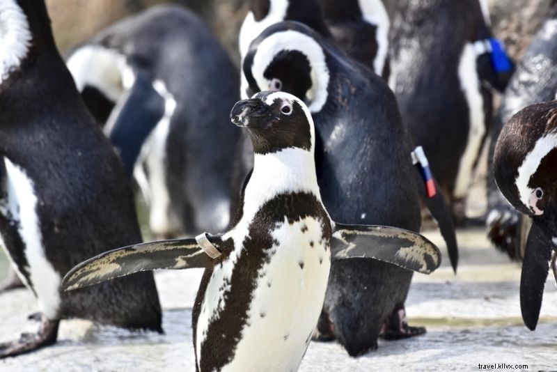 Discover 60 Fun & Exciting Things to Do in Baltimore, Maryland