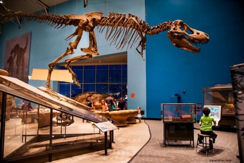 Discover 60 Fun & Exciting Things to Do in Baltimore, Maryland