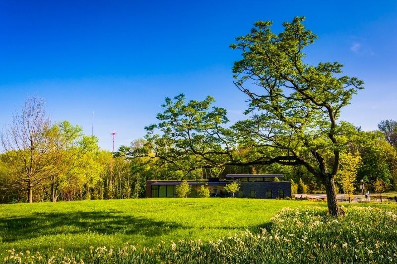 Discover 60 Fun & Exciting Things to Do in Baltimore, Maryland