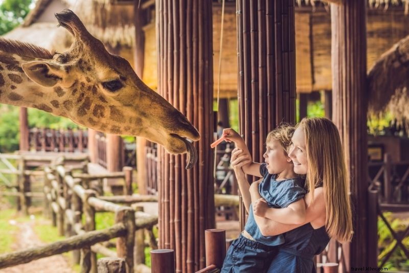 Discover 55 Top Things to Do in Panama City Beach, Florida: Ultimate Guide